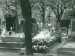 hrob Jana Palacha na Olšanech 1969 (2)